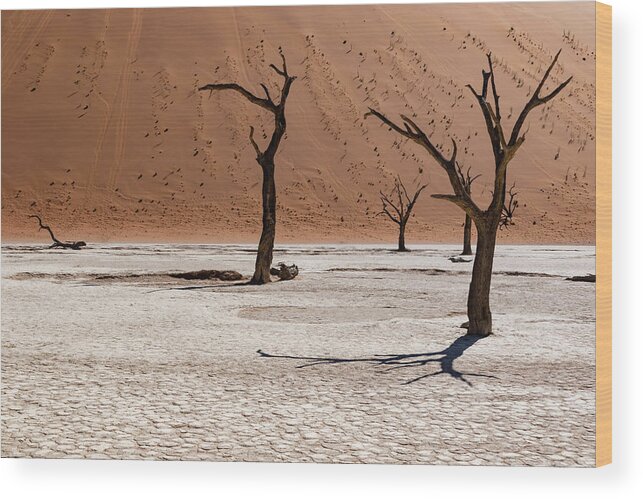 Landscape Wood Print featuring the photograph Deadvlei #5 by Mache Del Campo