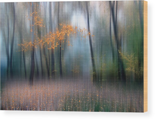 October.autumn Wood Print featuring the photograph October #5 by Alexander Kiyashko
