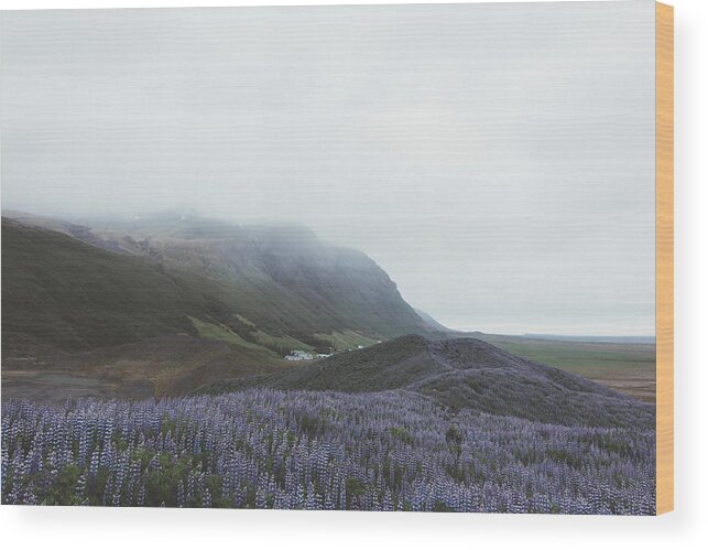 Landscape Wood Print featuring the photograph Typical Iceland Landscape #5 by Ivan Kmit