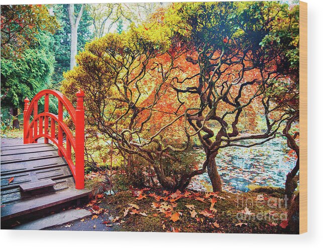 Asian Wood Print featuring the photograph autumn in Japanese park #6 by Ariadna De Raadt