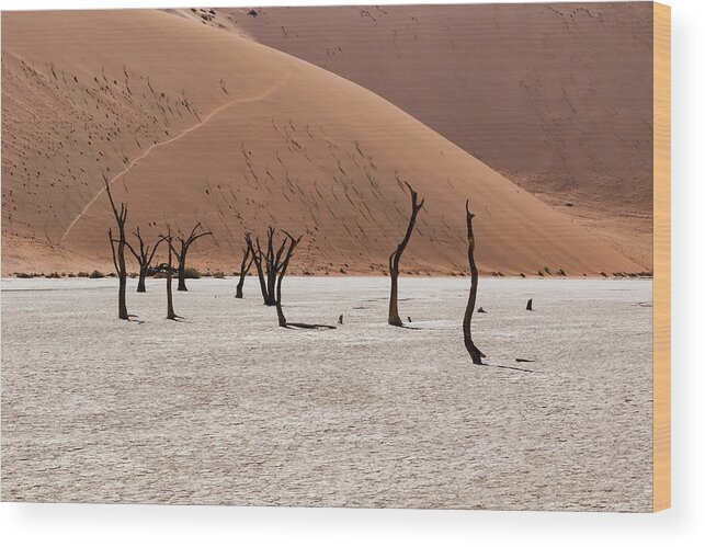 Artistic Wood Print featuring the photograph Deadvlei #8 by Mache Del Campo