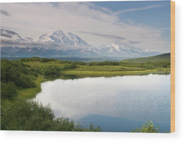 Scenics Wood Print featuring the photograph Denali Np Landscape With Denali #9 by John Elk