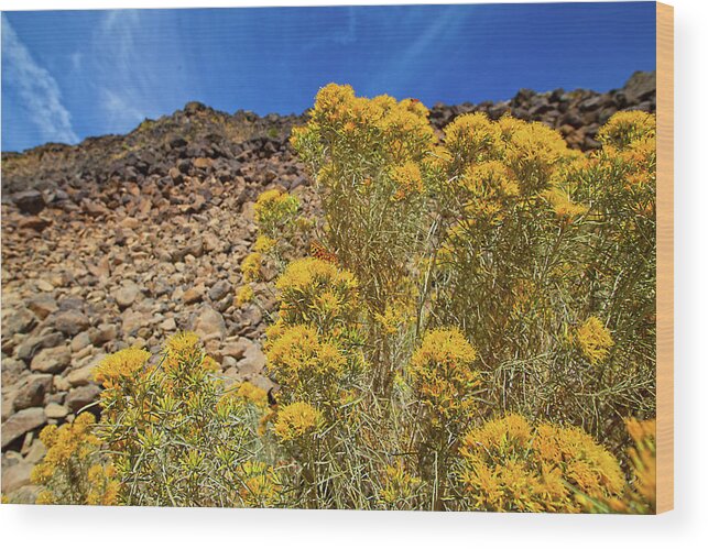 Idaho Wood Print featuring the photograph Idaho Landscape #9 by Dart Humeston