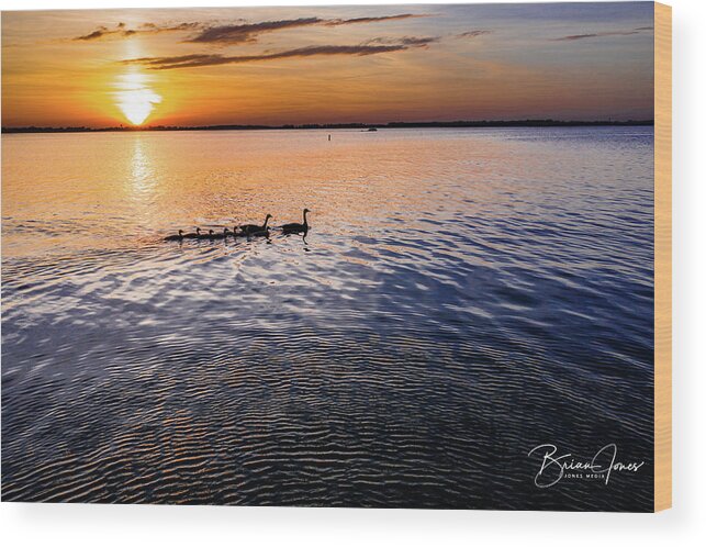  Wood Print featuring the photograph Sunset #9 by Brian Jones