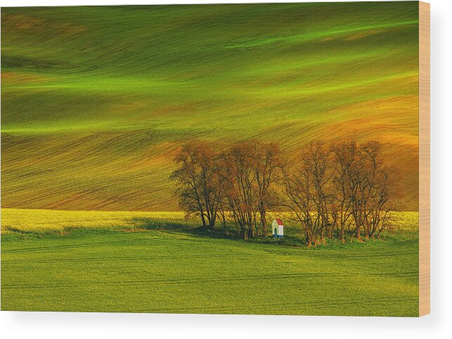 Landscape Wood Print featuring the photograph A Colorful Day by Mandru Cantemir