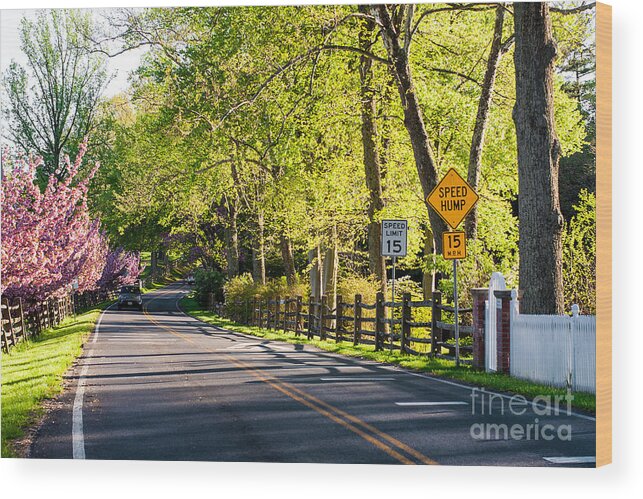 Landscape Wood Print featuring the photograph A Country Lane on a Springtime Afternoon by Steve Ember