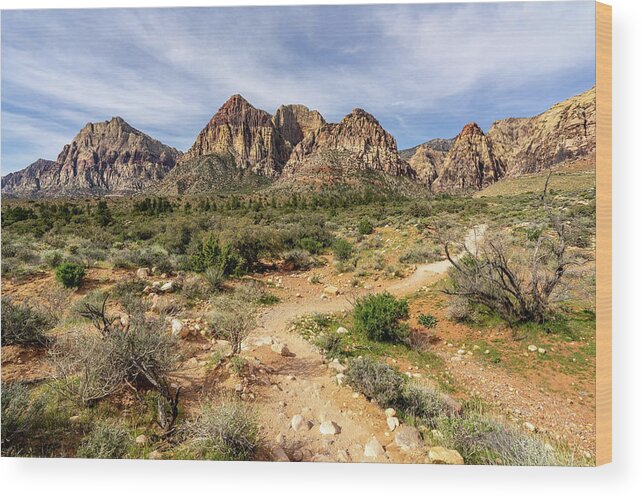 Las Vegas Wood Print featuring the photograph A Hiking Trail in Red Rock Canyon by Daniel Woodrum