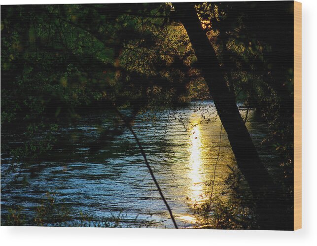 Alabama Wood Print featuring the photograph A Peek Through the Trees by James-Allen