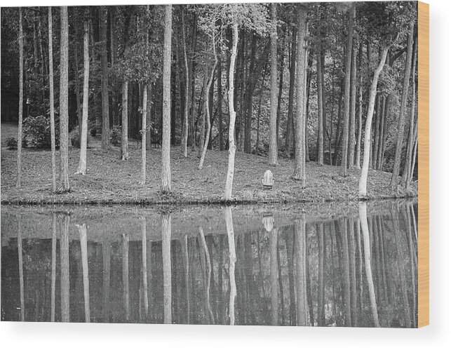 Trees Wood Print featuring the photograph A Quiet Place by Mary Ann Artz
