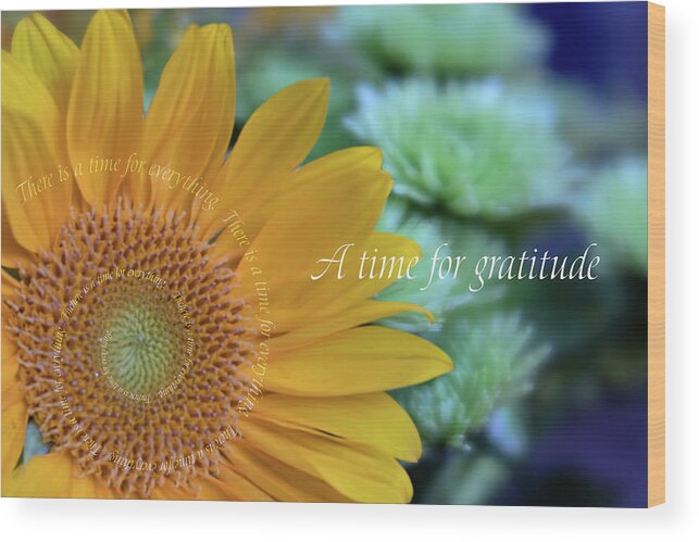 Photography Wood Print featuring the digital art A Time for Gratitude by Terry Davis