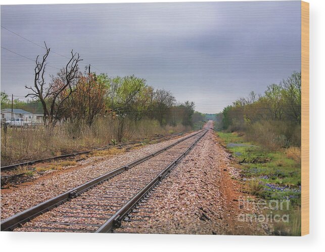 Railroad Tracks Wood Print featuring the photograph A Touch of Blue Along the Tracks by Joan Bertucci