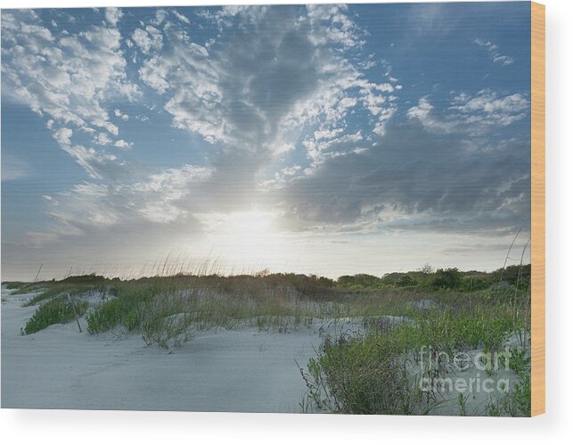 Beach Wood Print featuring the photograph A Walk Along the Beach - Sullivan's Island South Carolina by Dale Powell
