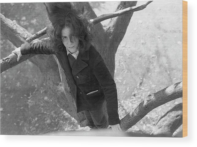 Providence Wood Print featuring the photograph A Woman in a Tree, 1972 by Jeremy Butler