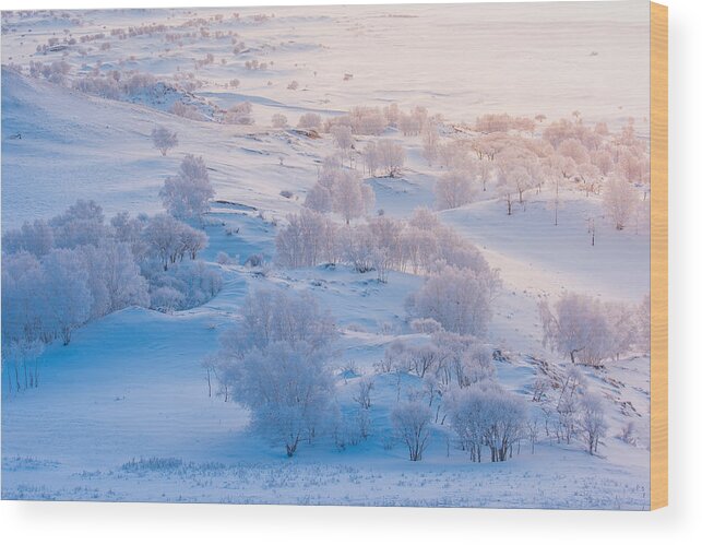 Landscape Wood Print featuring the photograph A World Of Ice And Snow by Simoon
