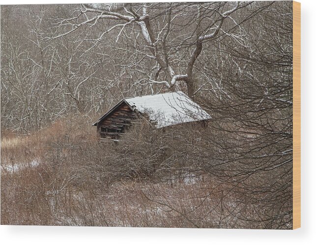 Abandoned Wood Print featuring the photograph Abandoned by Dawn J Benko