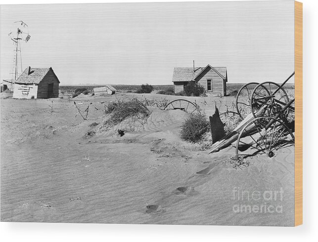 Dust Wood Print featuring the photograph Abandoned Farms During The Dust Bowl by Bettmann