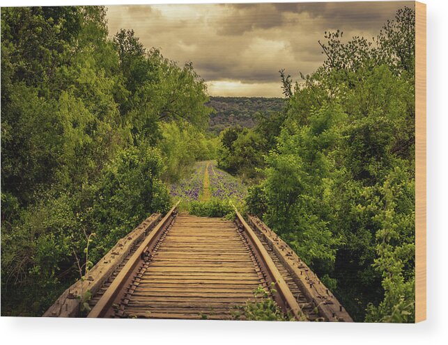 Bridge Wood Print featuring the photograph Abandoned Railroad by David Morefield