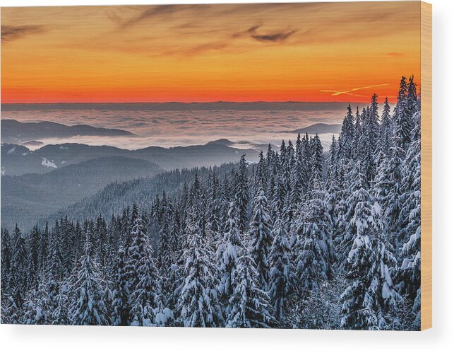 Bulgaria Wood Print featuring the photograph Above Ocean Of Clouds by Evgeni Dinev