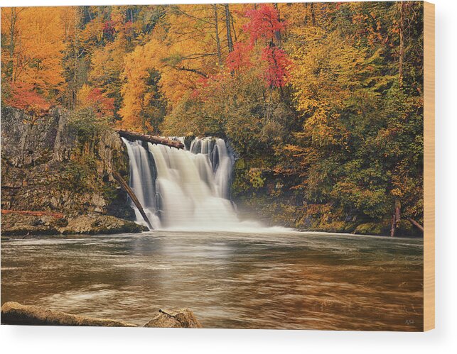 Abrams Falls Wood Print featuring the photograph Abrams Falls Autumn by Greg Norrell