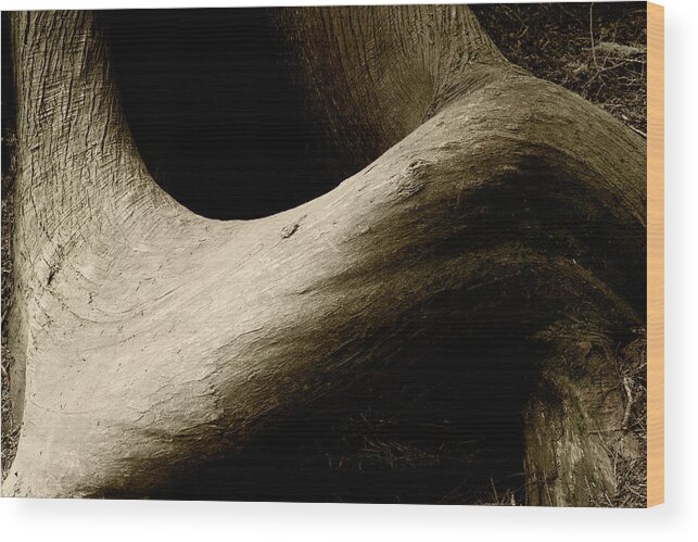 Forestabstract Wood Print featuring the photograph Abstract Tree Pattern - South Whidbey by Bill Gozansky