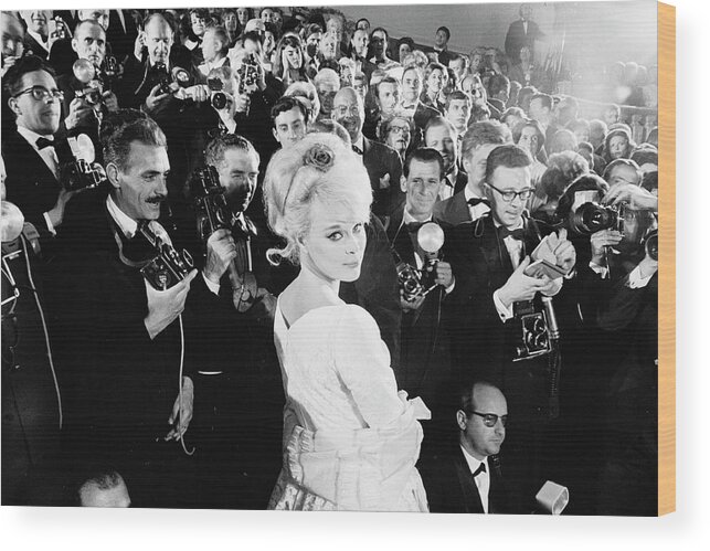 1960-1969 Wood Print featuring the photograph Actress Elke Sommer by Paul Schutzer