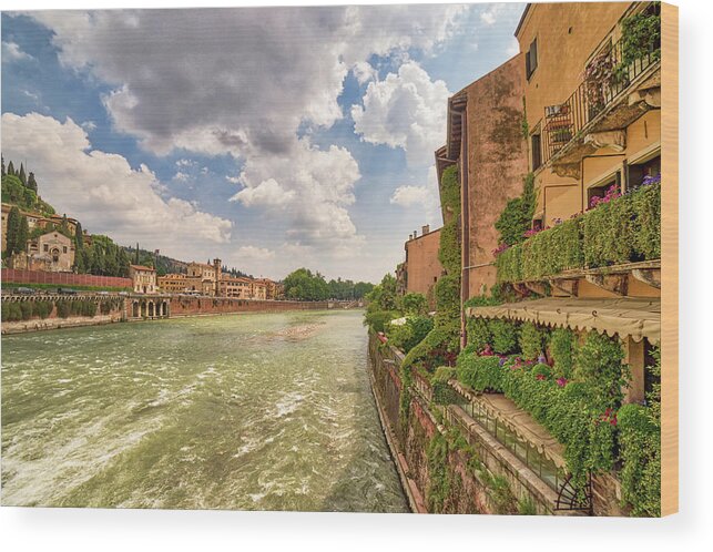 Adige Wood Print featuring the photograph Adige river in Verona by Vivida Photo PC