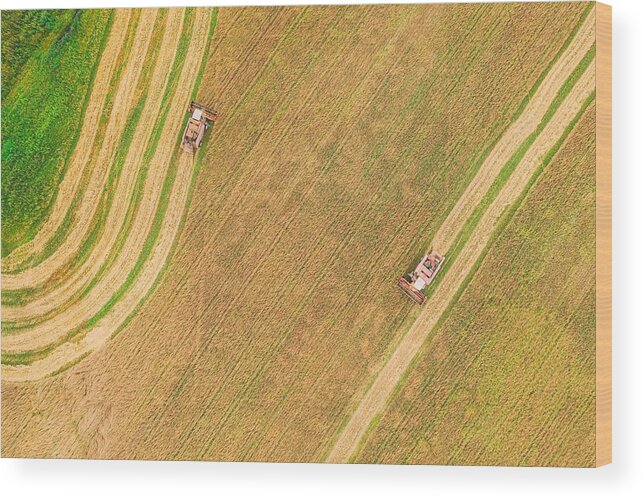 Landscapeaerial Wood Print featuring the photograph Aerial View Of Rural Landscape. Two by Ryhor Bruyeu