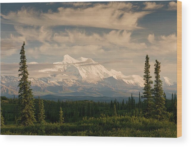 Scenics Wood Print featuring the photograph Alaska Range With Mt Foraker by John Elk