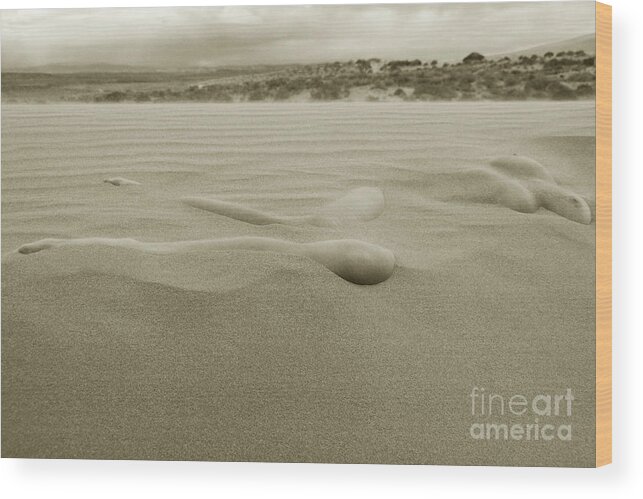 Sand Dunes Wood Print featuring the photograph Almost There by Robert WK Clark