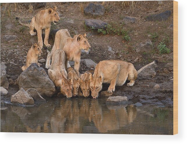 River Wood Print featuring the photograph Along The Mara by Muriel Vekemans