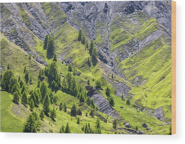 Mountain Landscape Wood Print featuring the photograph Alpes de Haute-Provence - 4 - French Alps by Paul MAURICE