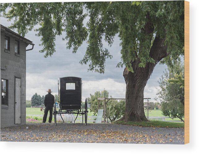 Amish Wood Print featuring the photograph Amish Man And His Carriage by Stan A. Malek