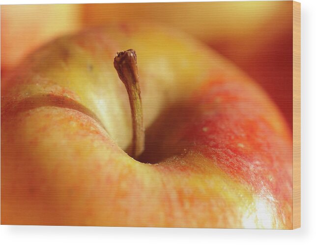 Season Wood Print featuring the photograph An Apple by Brian Yarvin
