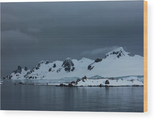 Emotion Wood Print featuring the photograph Antarctic Peninsula, Antarctica by Mint Images/ Art Wolfe