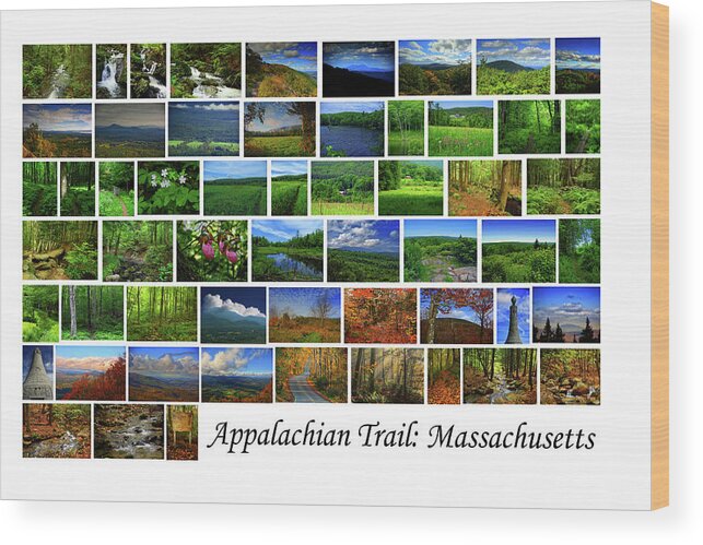 Appalachian Trail Massachusetts Wood Print featuring the photograph Appalachian Trail Massachusetts by Raymond Salani III
