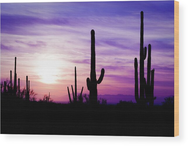 Saguaro Cactus Wood Print featuring the photograph Arizona Desert Cactus Sagauro Winter by Adamkaz