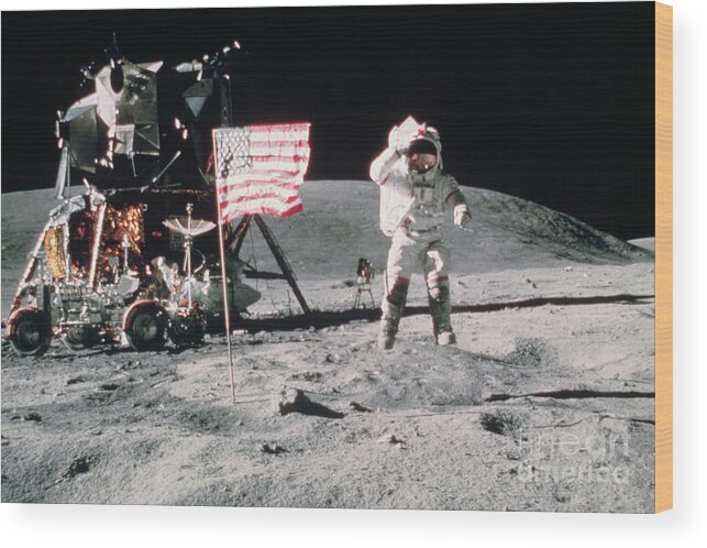 People Wood Print featuring the photograph Astronaut John W. Young, Apollo 16 by Bettmann
