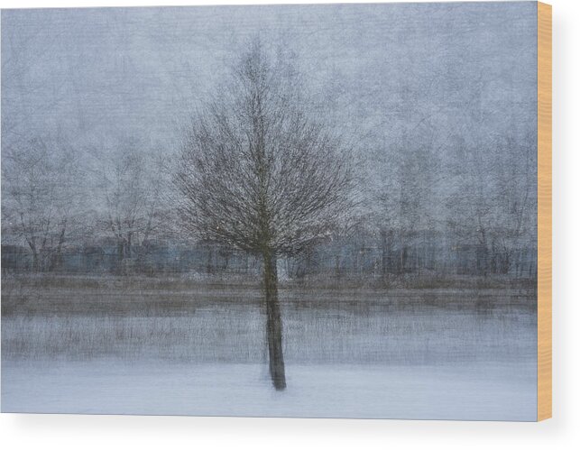 Eskilstuna Wood Print featuring the photograph At The Shore Of The Frozen River by Arne stlund