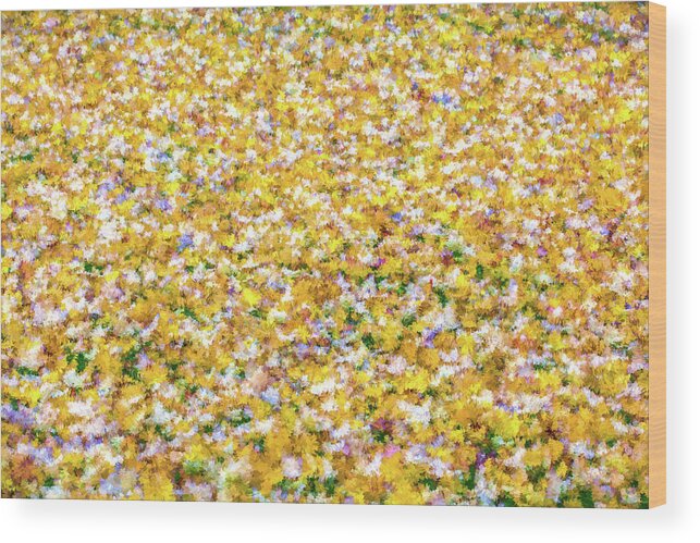 David Letts Wood Print featuring the photograph Autumn Abstract by David Letts
