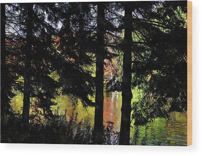 Pond Wood Print featuring the photograph Autumn Colors at the Spa by Andrea Kollo