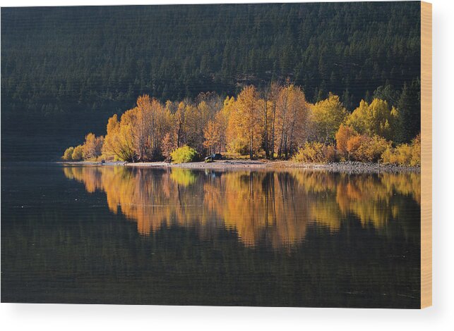 Seasons Wood Print featuring the photograph Autumn Days by Theresa Tahara
