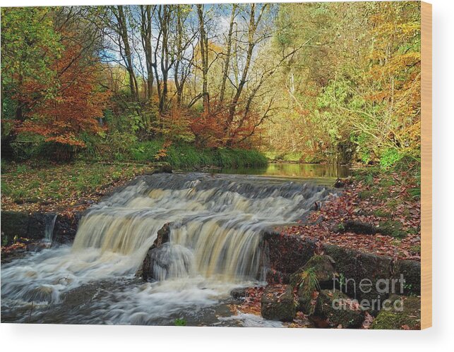 Autumn Wood Print featuring the photograph Autumn Flow by David Birchall