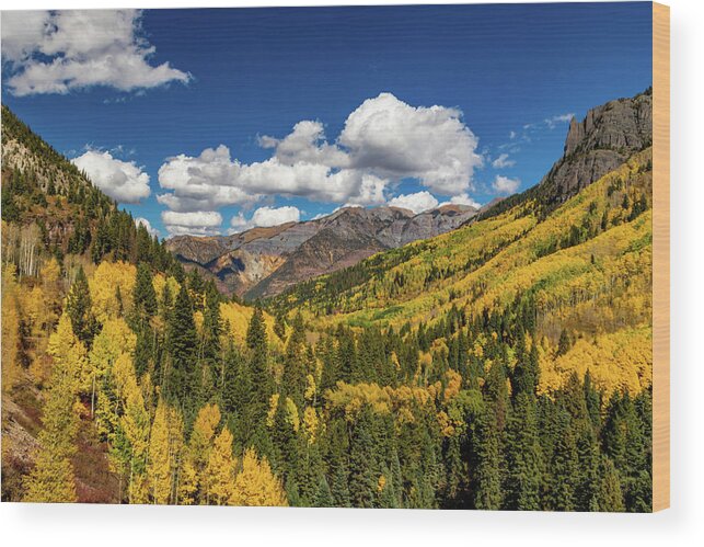 Box Canyon Wood Print featuring the photograph Autumn in Box Canyon by Norma Brandsberg