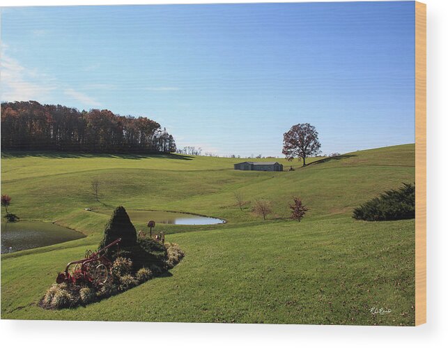 Frederick Wood Print featuring the photograph Autumn in Frederick Maryland - Open Spaces by Ronald Reid