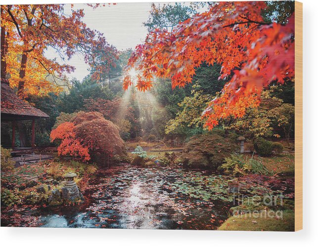 Asian Wood Print featuring the photograph autumn in Japanese park, the Hague by Ariadna De Raadt
