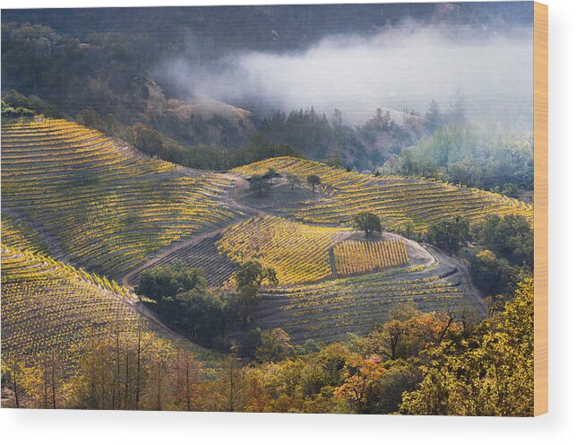  Wood Print featuring the photograph Autumn In Napa by Donnahom