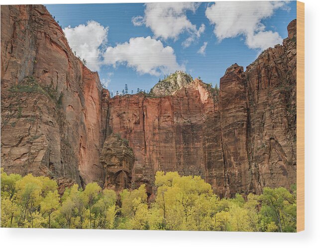 Jeff Foott Wood Print featuring the photograph Autumn In Zion Natl Park by Jeff Foott
