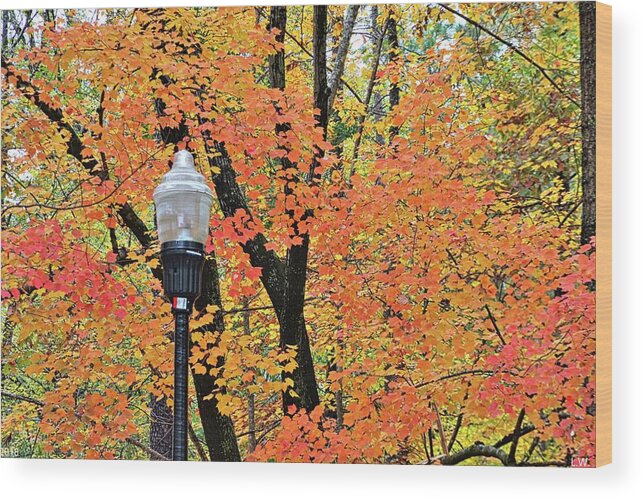 Autumn Light Wood Print featuring the photograph Autumn Light by Lisa Wooten