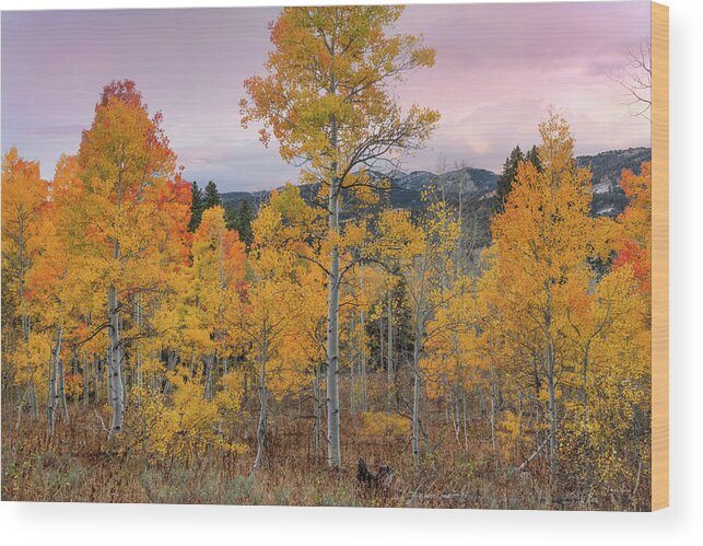 Idaho Scenics Wood Print featuring the photograph Autumn Morning Brilliance by Leland D Howard