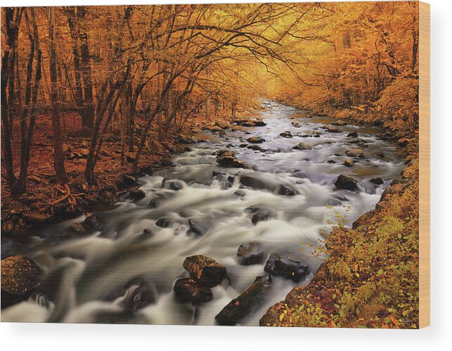 Great Smoky Mountains National Park Wood Print featuring the photograph Autumn on the Little River by Greg Norrell